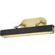 Valise Picture 18 watt 22 inch Vintage Brass and Tuxedo Leather Picture Light Wall Light